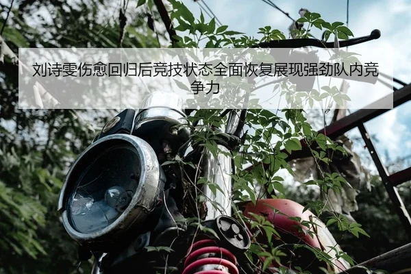 刘诗雯伤愈回归后竞技状态全面恢复展现强劲队内竞争力（DAFA SPORTS）