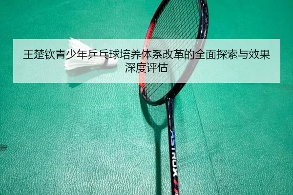 王楚钦青少年乒乓球培养体系改革的全面探索与效果深度评估（DAFA SPORTS）